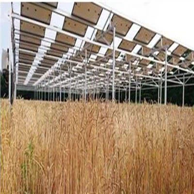 Sistema di montaggio solare per l'agricoltura